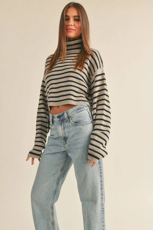 STRIPED TURTLE NECK CROP SWEATER TOP