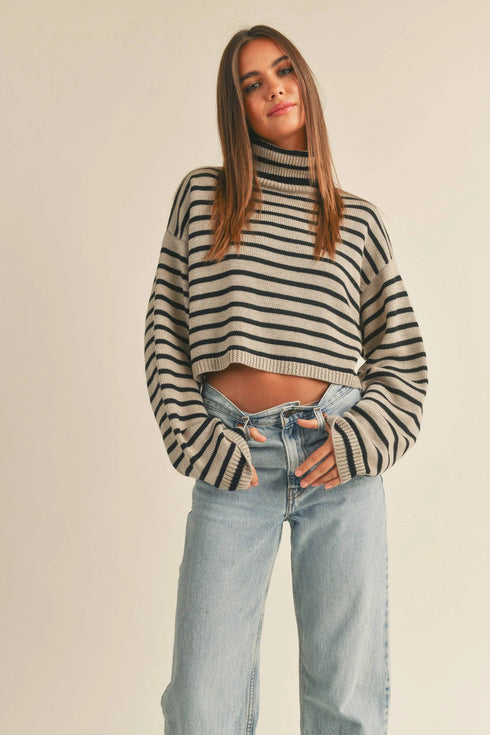 STRIPED TURTLE NECK CROP SWEATER TOP